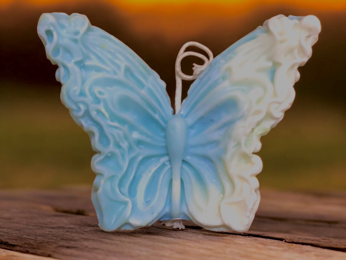 Flutter Kiss